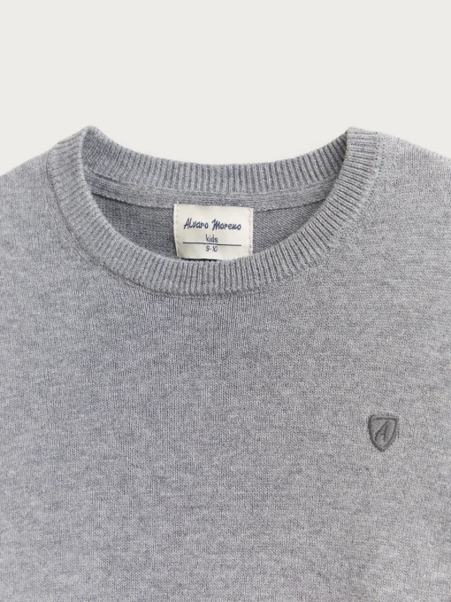 Jerséis<Alvaro Moreno JERSEY ROUND NECK KIDS Gris