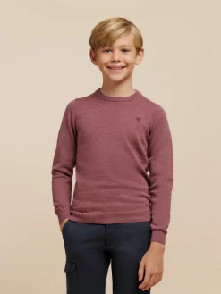 Jerséis<Alvaro Moreno JERSEY ROUND NECK KIDS Violeta