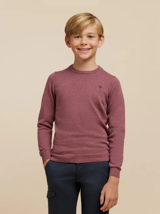 Jerséis<Alvaro Moreno JERSEY ROUND NECK KIDS Violeta