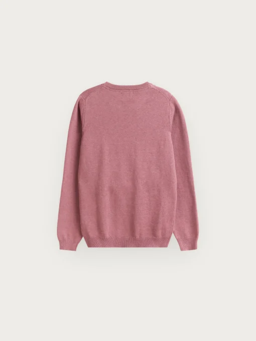 Jerséis<Alvaro Moreno JERSEY ROUND NECK KIDS Violeta